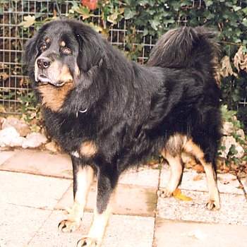 Lhotse von Tanggula Shan